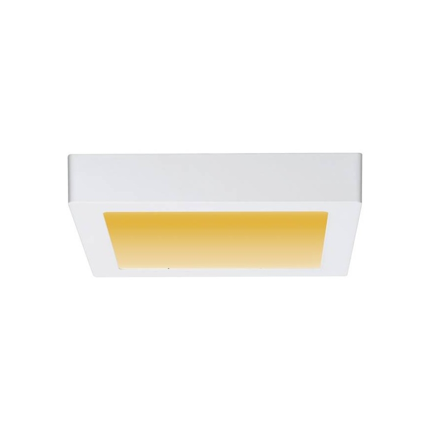 Paulmann 79796 - LED/13W Taklampa CARPO 230V 2300-3000K