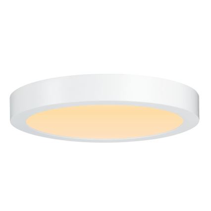 Paulmann 79799 - LED/19W Taklampa CARPO 230V 2300/2500/3000K