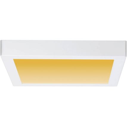Paulmann 79801 - LED/13W Taklampa CARPO 230V 2300/2500/3000K