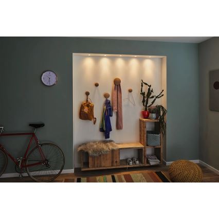 Paulmann 92970 - LED/4,2W IP23 Ljusreglerad hängande badrumslampa COIN 230V