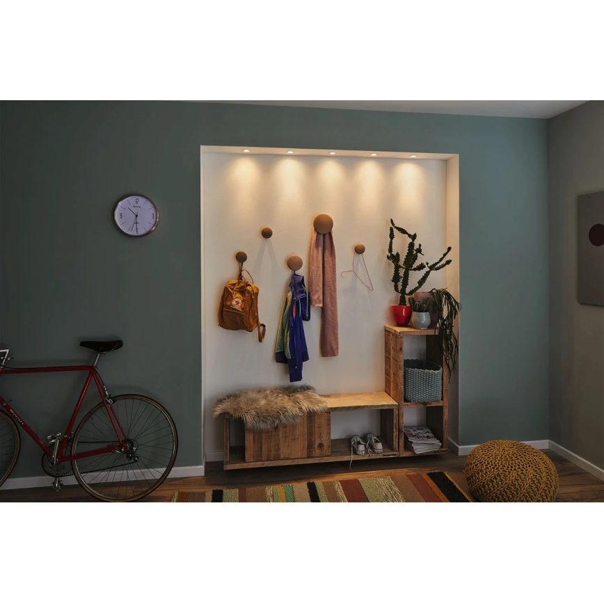 Paulmann 92970 - LED/4,2W IP23 Ljusreglerad hängande badrumslampa COIN 230V