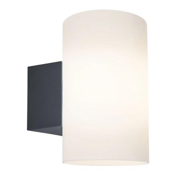 Paulmann 94186 - 1xE27/15W IP54 Vägglampa för utomhusbruk TUBE 230V