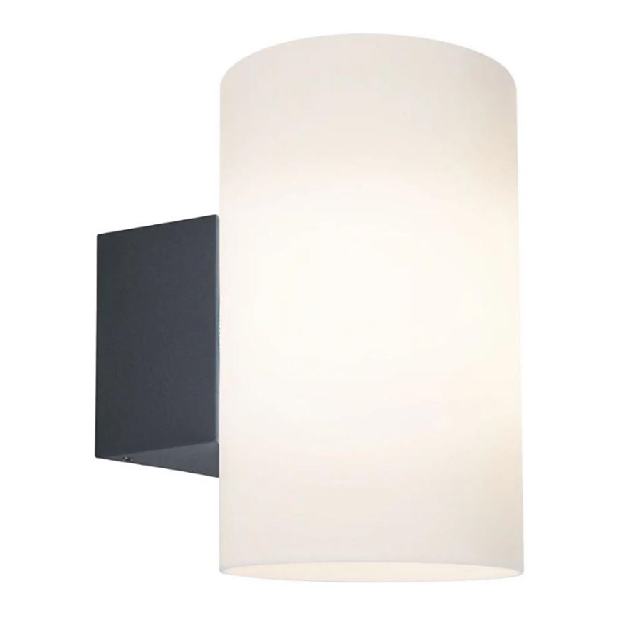 Paulmann 94186 - 1xE27/15W IP54 Vägglampa för utomhusbruk TUBE 230V