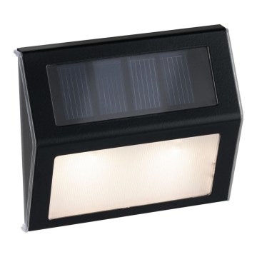 Paulmann 94234- LED/0,05W IP44 Utomhus sollampa med sensor DAYTON 1,5V