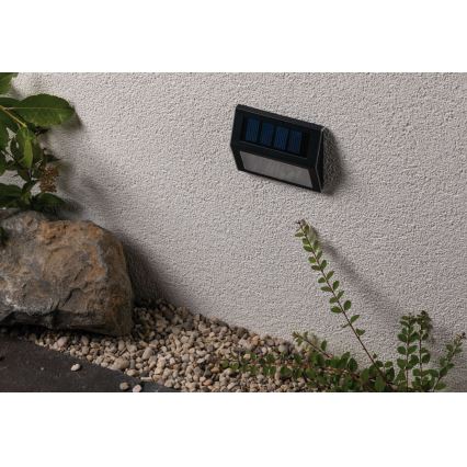 Paulmann 94234- LED/0,05W IP44 Utomhus sollampa med sensor DAYTON 1,5V