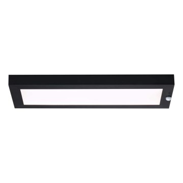 Paulmann 94256_1 - LED/10W IP44 Taklampa för utomhusbruk med sensor 230V