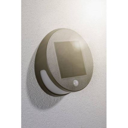 Paulmann 94265 - LED/3W IP44 Utomhus sollampa med sensor HELENA 3,7V