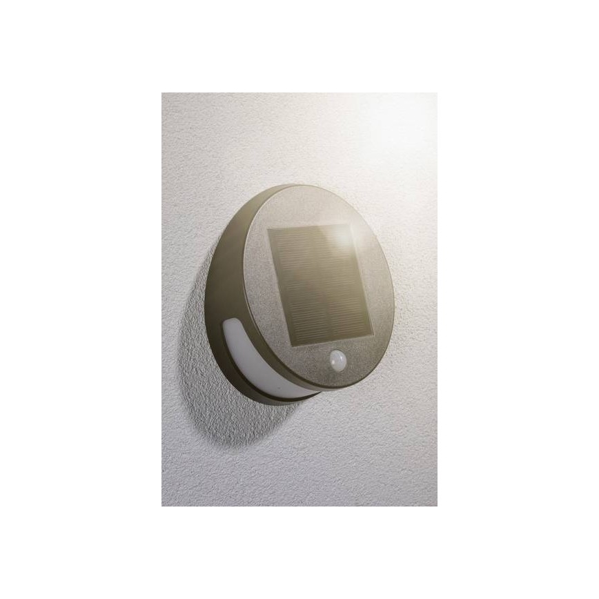 Paulmann 94265 - LED/3W IP44 Utomhus sollampa med sensor HELENA 3,7V