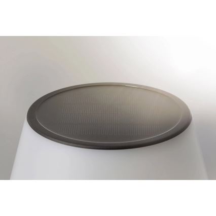 Paulmann 94309 - LED/0,8W IP44 Ljusreglerad solcell lampa LILLESOL 3,7V 2000 mAh