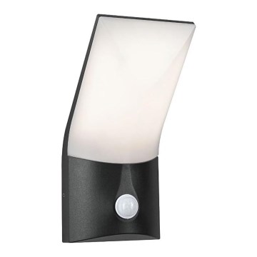 Paulmann 94402 - LED/10W IP44 Utomhus vägglampa med sensor ADYA 230V