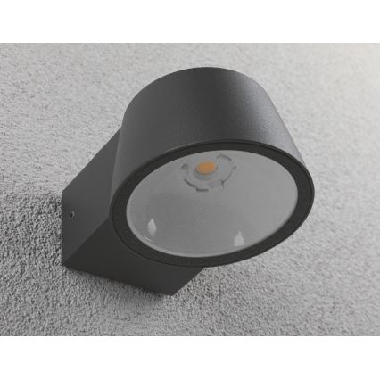 Paulmann 94452 - LED/6W IP44 Utomhus Väggbelysning CAPEA 230V