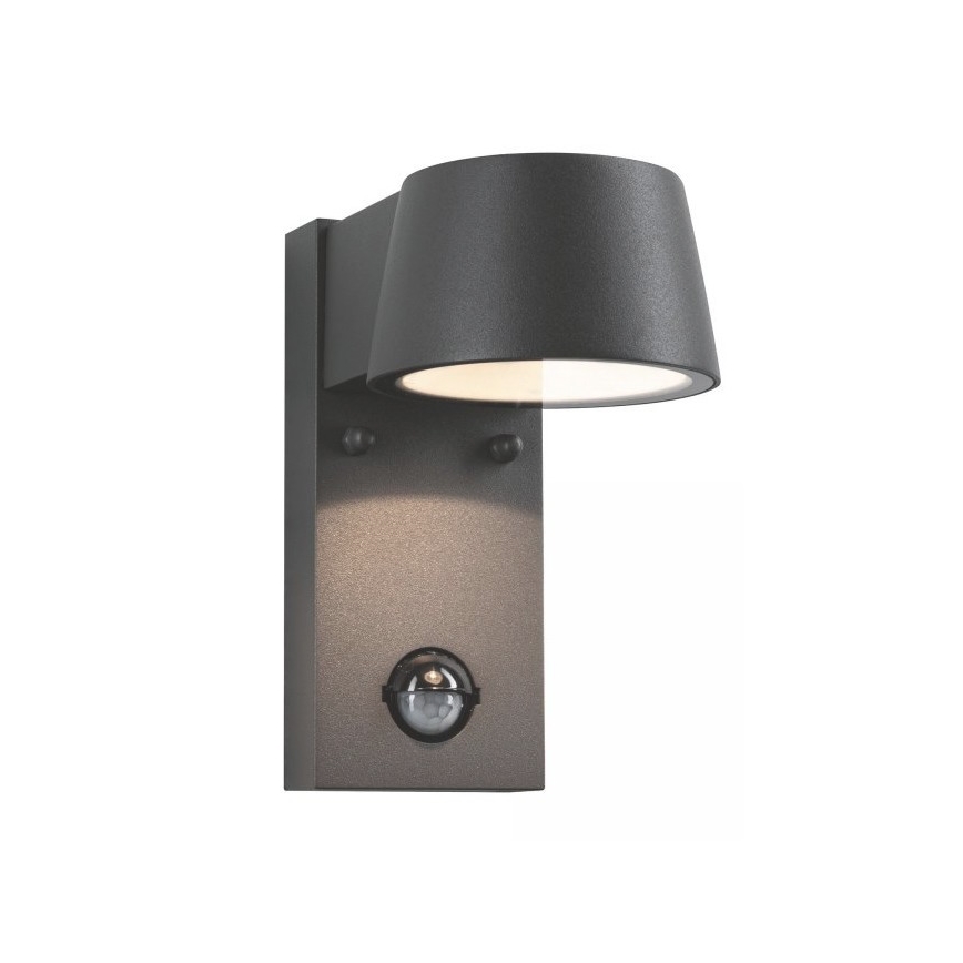 Paulmann 94453 - LED/6W IP44 Utomhus Väggbelysning med sensor CAPEA 230V