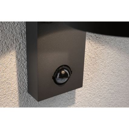 Paulmann 94453 - LED/6W IP44 Utomhus Väggbelysning med sensor CAPEA 230V