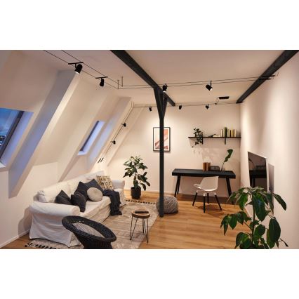 Paulmann 94469 - KIT 5xGU5,3/10W Spotlight för skensystem CUP 230V svart