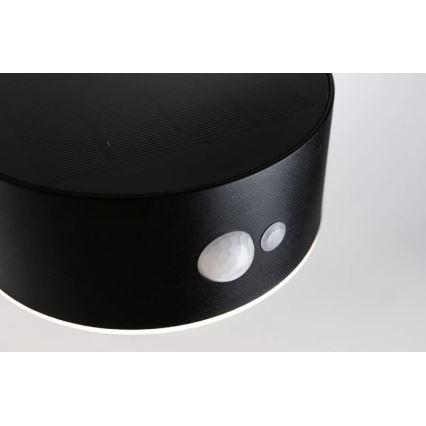 Paulmann 94570 - LED/5,5W IP44 Solcellsvägglampa med sensor EILEEN 3,7V