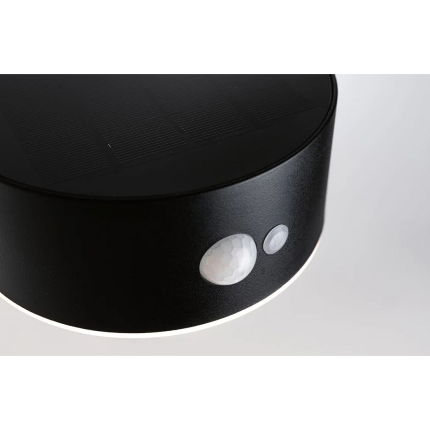 Paulmann 94570 - LED/5,5W IP44 Solcellsvägglampa med sensor EILEEN 3,7V
