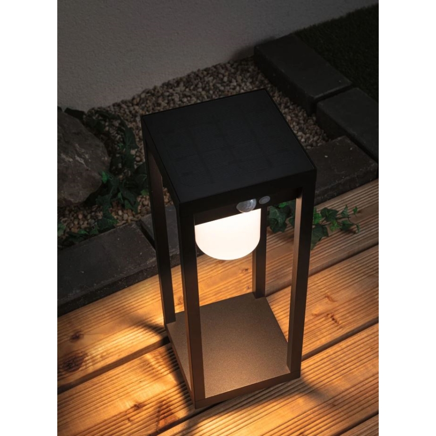 Paulmann 94573 - LED/5,5W IP44 Solcellslampa med en sensor MARISOL 3,7V