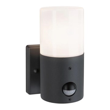 Paulmann 94648 - 1xE27/15W IP44 Utomhus vägglampa med sensor TUBS 230V