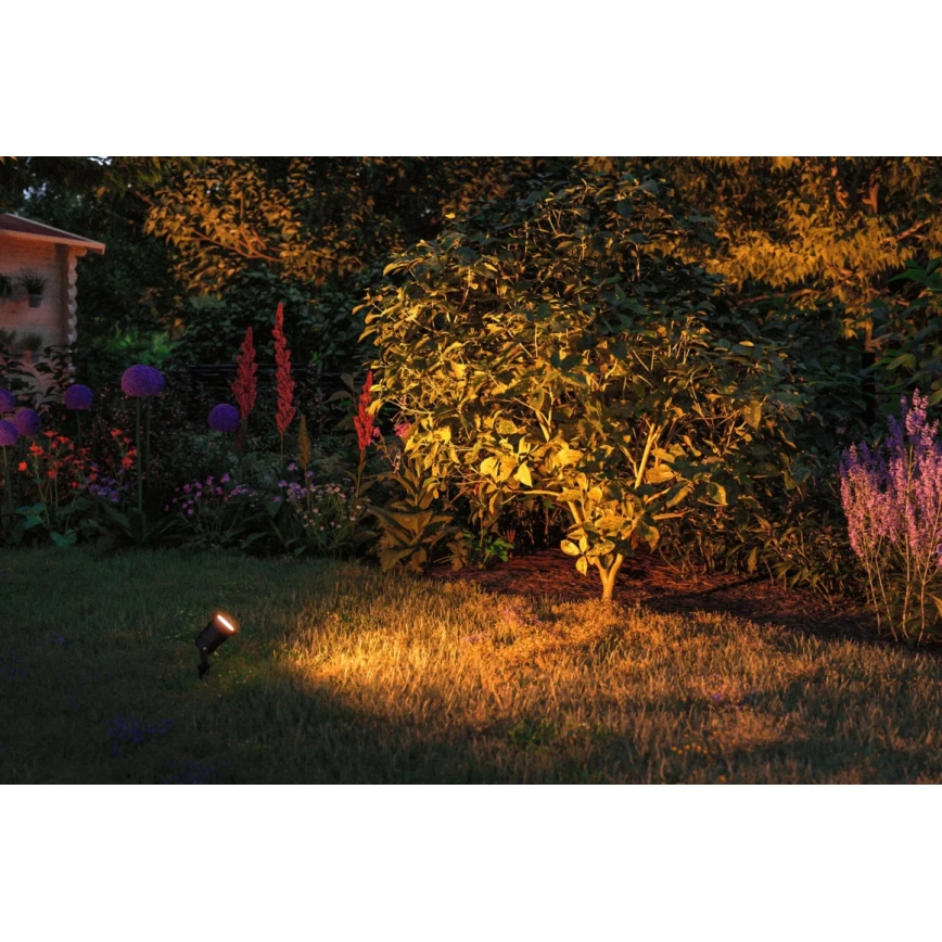Paulmann 94731 - LED/4,3W IP65 Utomhuslampa SPOT 230V