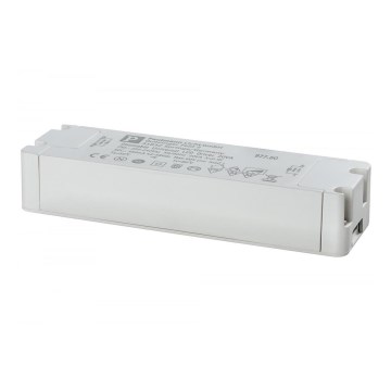Paulmann 97734 - Transformator DRIVER 13-18W/700mA/230V