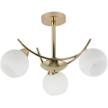 Pendelkrona AMOS 3xE27/40W/230V guld