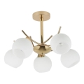 Pendelkrona AMOS 5xE27/40W/230V guld