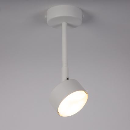 Pendelkrona NEMO 1xGX53/12W/230V 24 cm vit