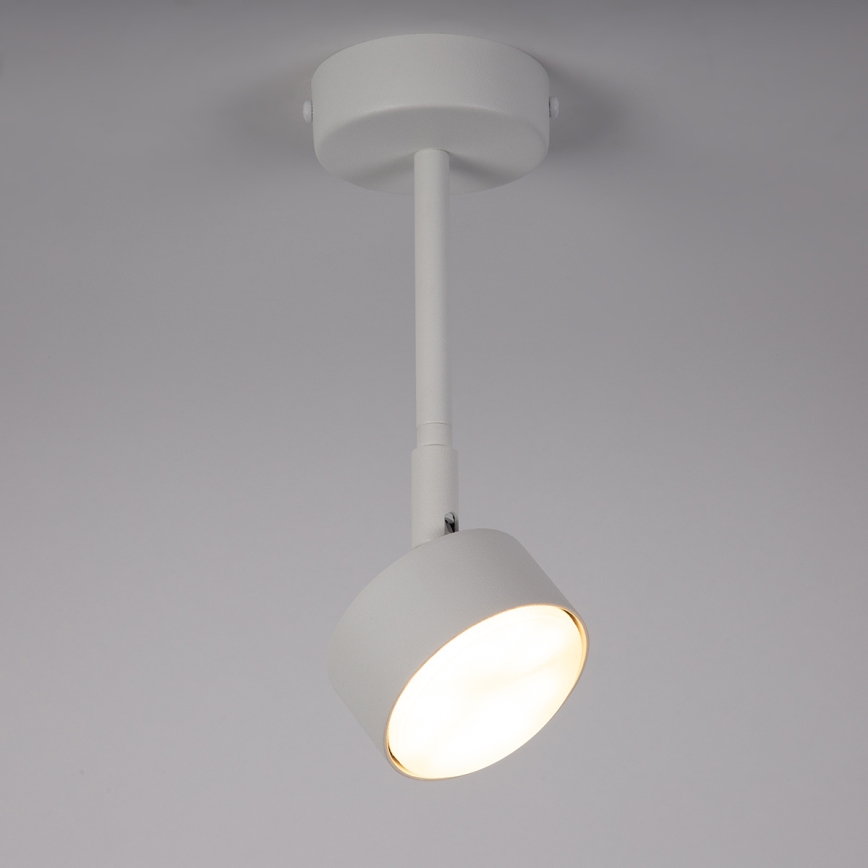 Pendelkrona NEMO 1xGX53/12W/230V 24 cm vit