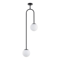 Pendelkrona VECTOR 2xE14/10W/230V svart
