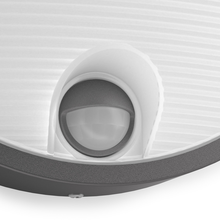 Philips 16456/93/16 - LED Utomhusbelysning med sensor MYGARDEN CAPRICORN LED/6W IP44