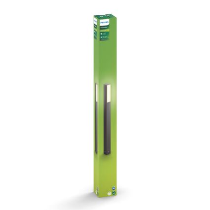 Philips 16489/93/P0 - Utomhus lyktstolpar MYGARDEN STRATOSPHERE 2xLED/4.5W IP44