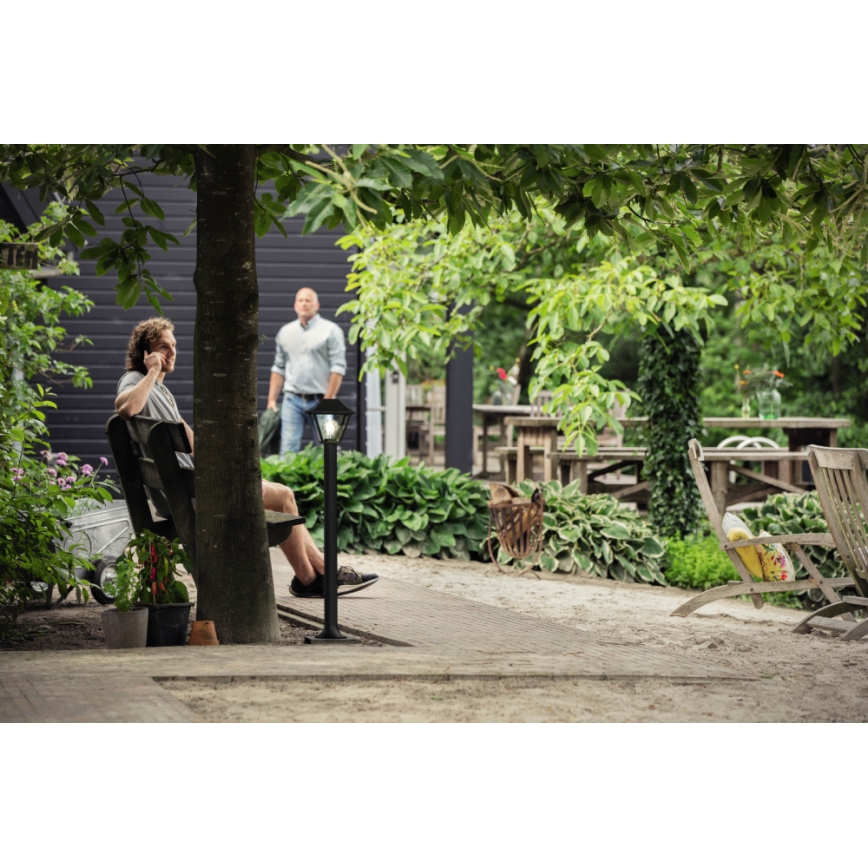 Philips 16497/30/PN - Utomhuslampa MYGARDEN ALPENGLOW E27/60W/230V