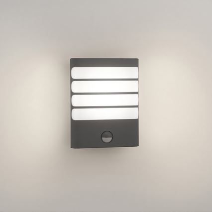 Philips 17274/93/16 - LED Utomhusbelysning med sensor MYGARDEN RACCOON 1xLED/3W IP44
