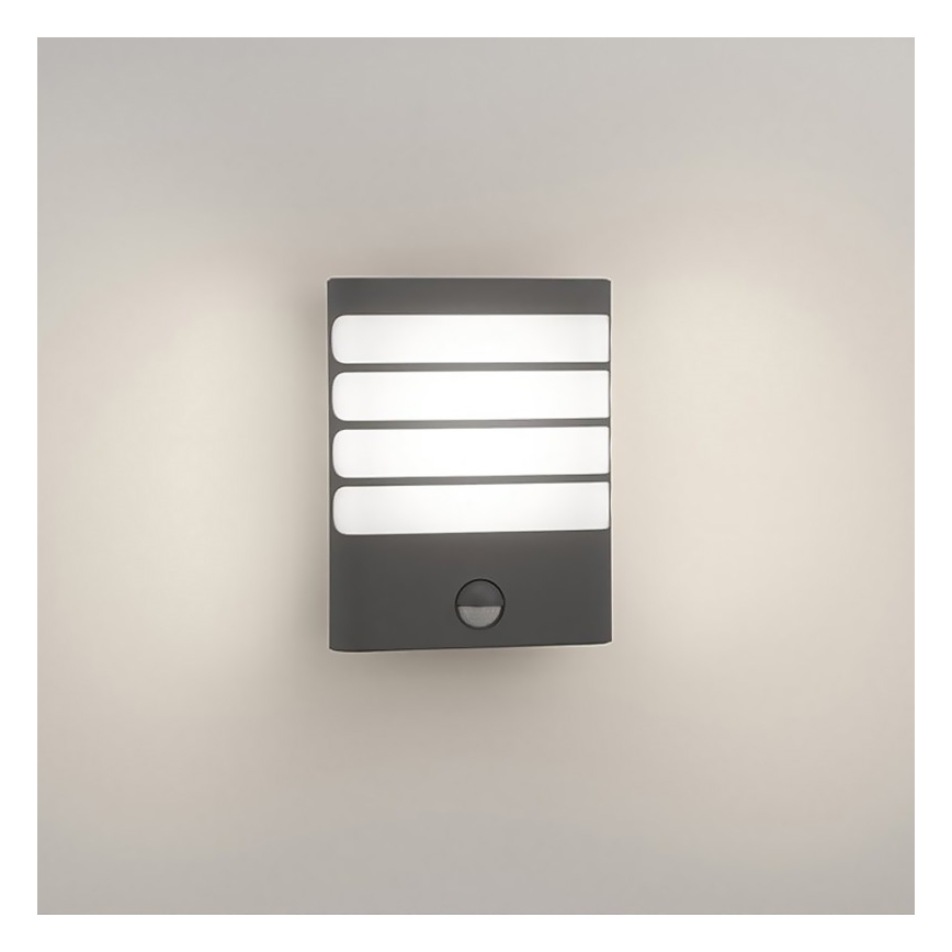 Philips 17274/93/16 - LED Utomhusbelysning med sensor MYGARDEN RACCOON 1xLED/3W IP44