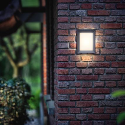 Philips 17293/93/16 - Utomhus Väggbelysning MYGARDEN KARP 1xLED/6W/230V
