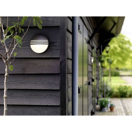 Philips 17296/30/16 - Utomhus Väggbelysning MYGARDEN YARROW 1xLED/6W/230V IP44