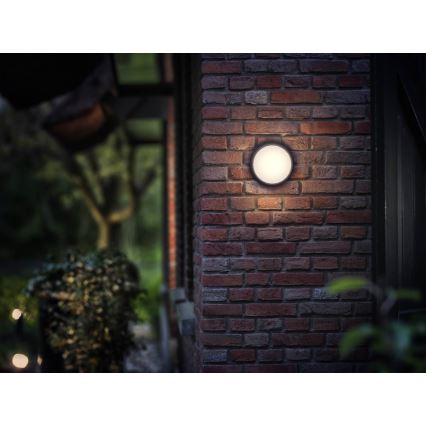 Philips 17304/30/16 - LED Utomhusbelysning MYGARDEN EAGLE 1xLED/3,5W IP44