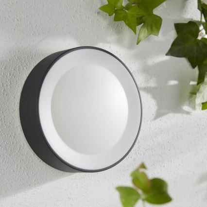 Philips - LED RGBW Dimbar vägglampa utomhus Hue DAYLO LED/15W/230V 2000-6500K IP44