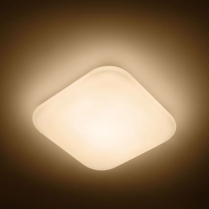 Philips 31110/31/P0 - LED Takbelysning MYLIVING MAUVE 1xLED/17W/230V 2,700K