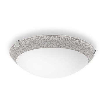 Philips 31140/44/16 - LED Takbelysning 1xLED/10W/230V
