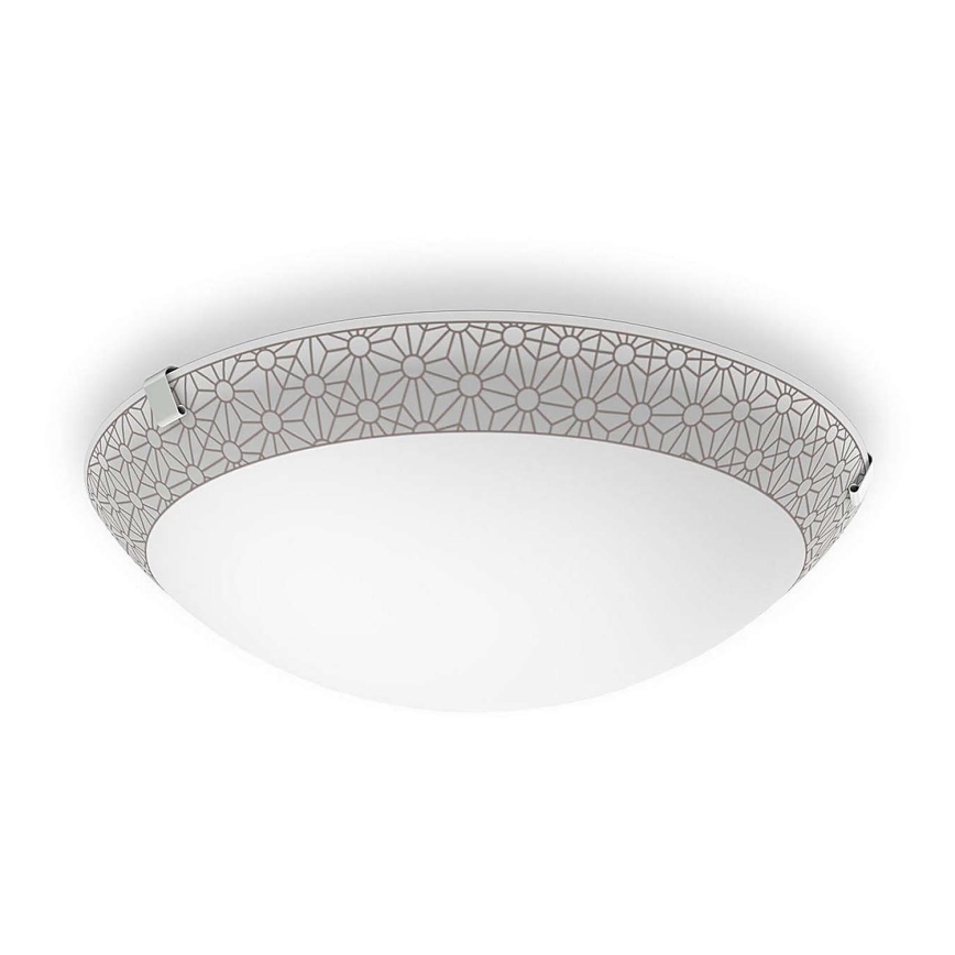 Philips 31140/44/16 - LED Takbelysning 1xLED/10W/230V