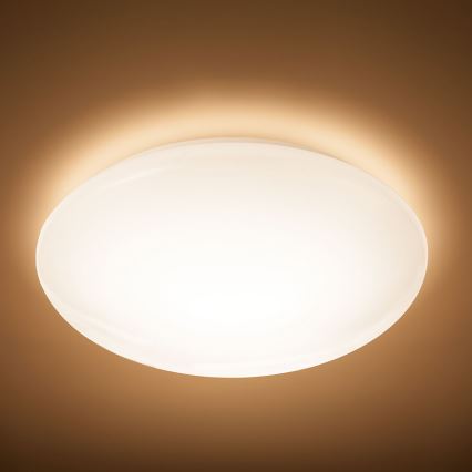 Philips - LED Takbelysning SUEDE LED/24W/230V 2700K