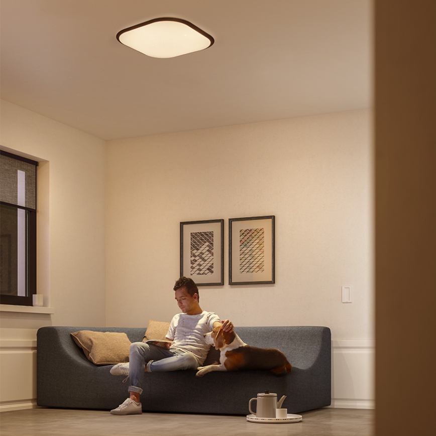 Philips 32810/31/P0 - LED Dimbar Takbelysning CANAVAL LED/18W/230V