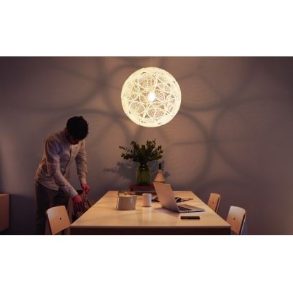 Philips 40913/31/PN - Tak Hängande lampa MYLIVING RING E27/60W/230V