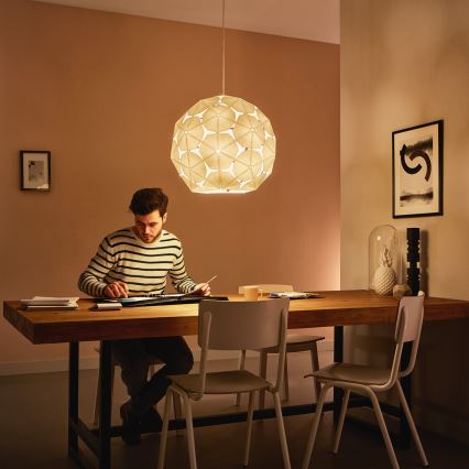 Philips 40914/21/PN - Ljuskrona med snöre MYLIVING CORKträ 1xE27/60W/230V