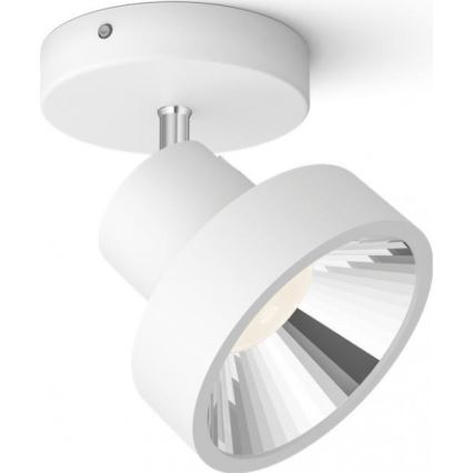 Philips 50601/31/P0 - LED Spotlight BUKKO LED/4,5W/230V