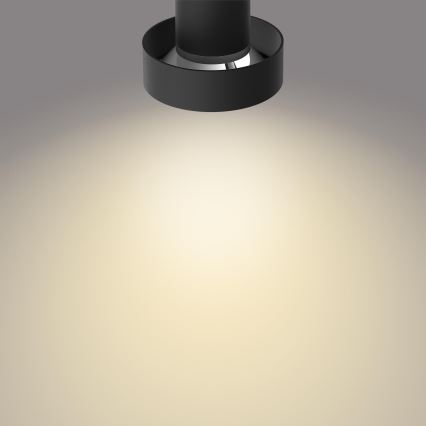 Philips 50602/30/P0 - LED Dimbar spotlight BUKKO 2xLED/4,5W/230V
