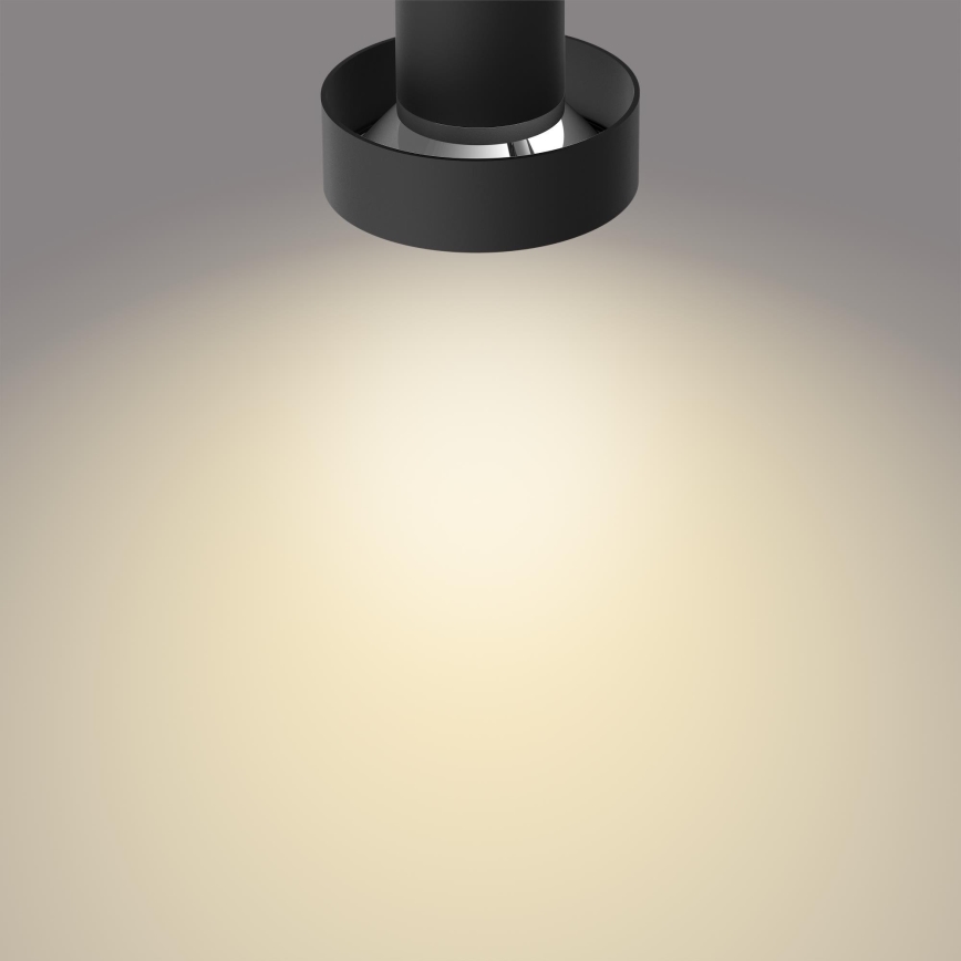 Philips 50602/30/P0 - LED Dimbar spotlight BUKKO 2xLED/4,5W/230V