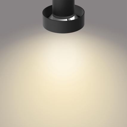 Philips 50603/30/P0 - LED Dimbar spotlight BUKKO 3xLED/4,3W/230V