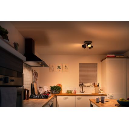 Philips 50603/30/P0 - LED Dimbar spotlight BUKKO 3xLED/4,3W/230V